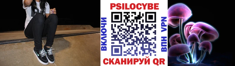 KRAKEN онион  Вытегра  Псилоцибиновые грибы Psilocybe 