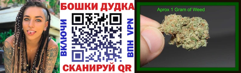 Бошки марихуана план  Вытегра 